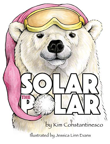 Stock image for Solar The Polar for sale by Big River Books