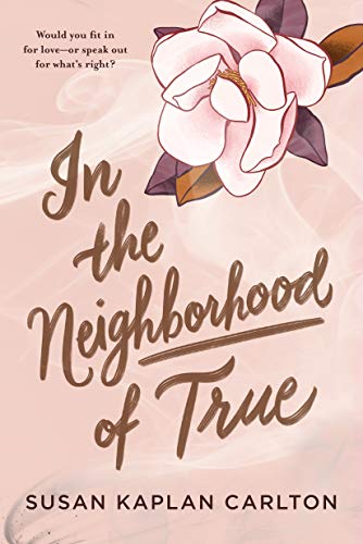 Stock image for In the Neighborhood of True for sale by Gulf Coast Books