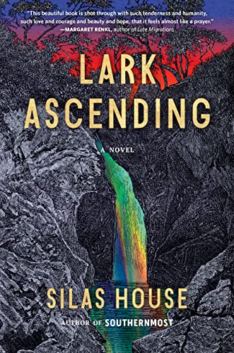 Stock image for Lark Ascending for sale by ZBK Books