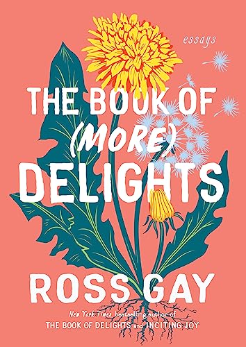 Stock image for The Book of (More) Delights: Essays for sale by HPB-Ruby