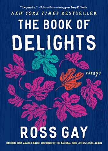 Stock image for The Book of Delights: Essays for sale by Dream Books Co.
