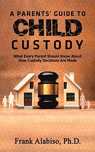 9781643787800: A Parents' Guide to Child Custody