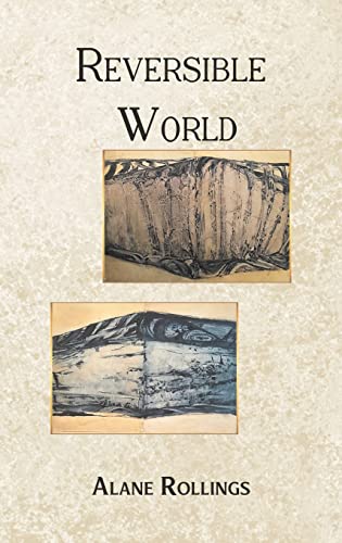 Stock image for Reversible World for sale by GreatBookPrices