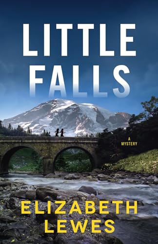 Beispielbild fr Little Falls : A Novel zum Verkauf von Better World Books