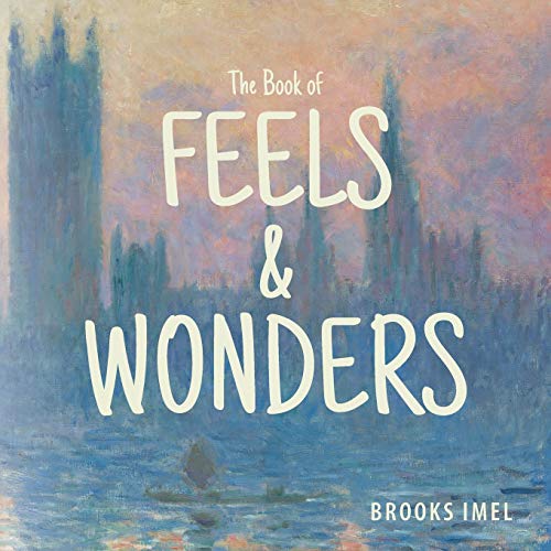 Beispielbild fr The Book of Feels & Wonders zum Verkauf von SecondSale