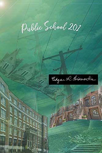 Stock image for Public School 201 for sale by Lucky's Textbooks