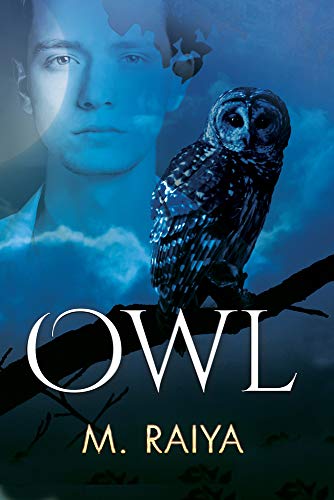 9781644052518: Owl