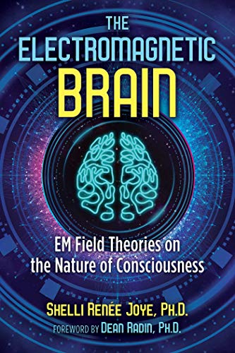Imagen de archivo de The Electromagnetic Brain: Em Field Theories on the Nature of Consciousness a la venta por Revaluation Books