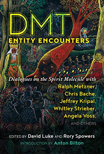 Stock image for DMT Entity Encounters: Dialogues on the Spirit Molecule with Ralph Metzner, Chris Bache, Jeffrey Kripal, Whitley Strieber, Angela Voss, and Others for sale by Montana Book Company