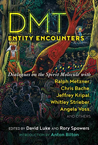 9781644112335: DMT Entity Encounters: Dialogues on the Spirit Molecule with Ralph Metzner, Chris Bache, Jeffrey Kripal, Whitley Strieber, Angela Voss, and Others