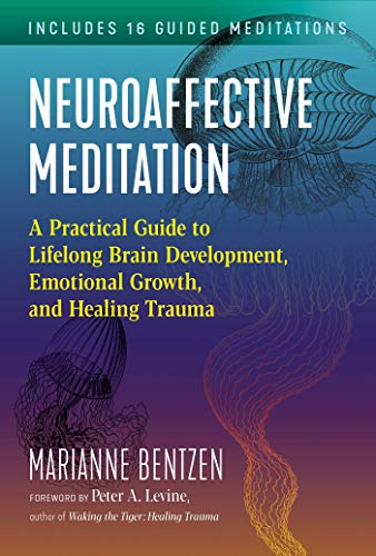 Stock image for Neuroaffective Meditation: A Practical Guide to Lifelong Brain Development, Emotional Growth, and Healing Trauma (Sacred Planet) for sale by Magers and Quinn Booksellers