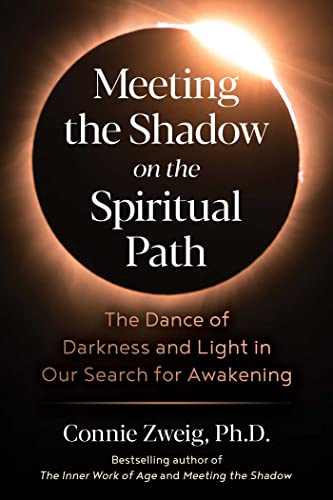 Stock image for Meeting the Shadow on the Spiritual Path: The Dance of Darkness and Light in Our Search for Awakening for sale by HPB-Ruby