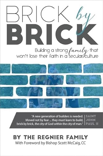 Stock image for Brick by Brick for sale by HPB-Emerald