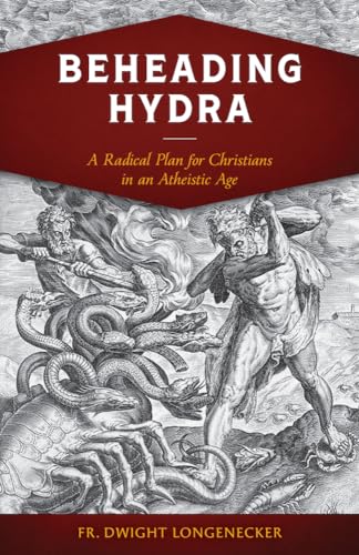 Stock image for Beheading Hydra: A Radical Plan for Christians in an Atheistic Age for sale by ThriftBooks-Atlanta