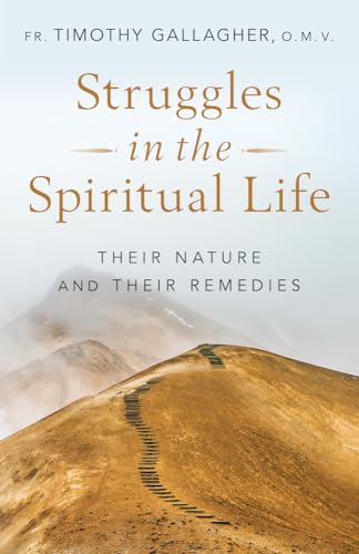 Beispielbild fr Struggles in the Spiritual Life Their Nature and Their Remedies zum Verkauf von Lakeside Books