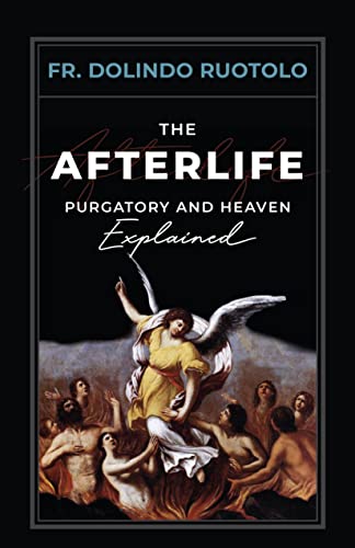Imagen de archivo de The Afterlife: Purgatory and Heaven Explained a la venta por GF Books, Inc.