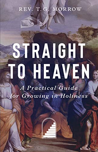 Stock image for Straight to Heaven: A Practical Guide for Growing in Holiness for sale by Front Cover Books