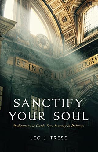 Stock image for Sanctify Your Soul: Meditations to Guide Your Journey to Holiness for sale by More Than Words