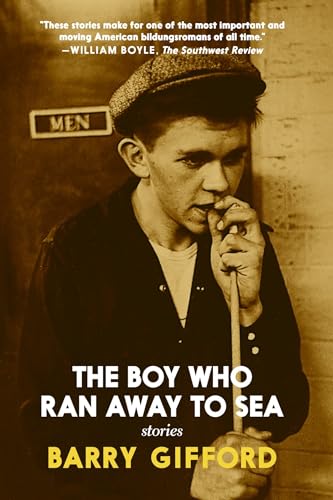 Imagen de archivo de The Boy Who Ran Away to Sea a la venta por Books From California