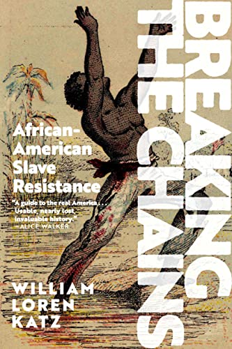 Beispielbild fr Breaking the Chains: African-american Slave Resistance zum Verkauf von Revaluation Books