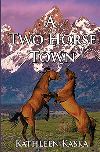 9781644370452: A Two Horse Town