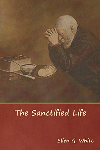 Stock image for The Sanctified Life for sale by Chiron Media