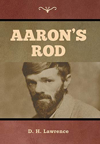 9781644393475: Aaron's Rod