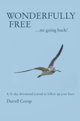 Stock-Bild f�r Wonderfully Free...no going back!: a 31-day devotional journal to follow up your Bethel Sozo