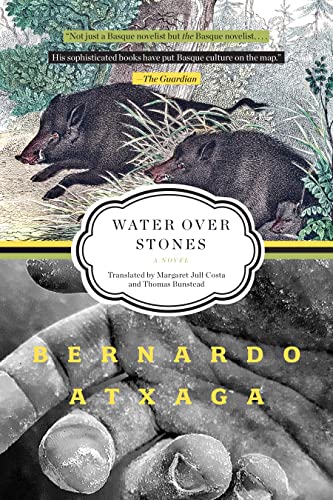 Beispielbild fr Water over Stones : A Novel zum Verkauf von Better World Books