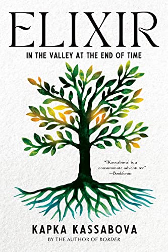 Stock image for Elixir: In the Valley at the End of Time for sale by PlumCircle