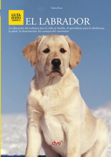 Stock image for El Labrador (Spanish Edition) for sale by Books Unplugged