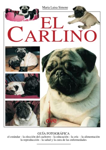 9781644613504: El carlino