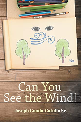 Imagen de archivo de Can You See The Wind! a la venta por Big River Books