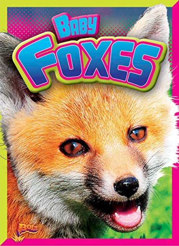 Imagen de archivo de Baby Foxes (Adorable Animals) a la venta por Half Price Books Inc.