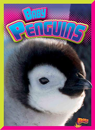 Imagen de archivo de Baby Penguins (Adorable Animals) a la venta por Ergodebooks