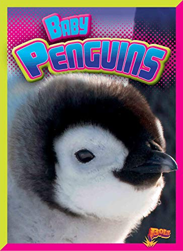 9781644660034: Baby Penguins (Bolt: Adorable Animals)