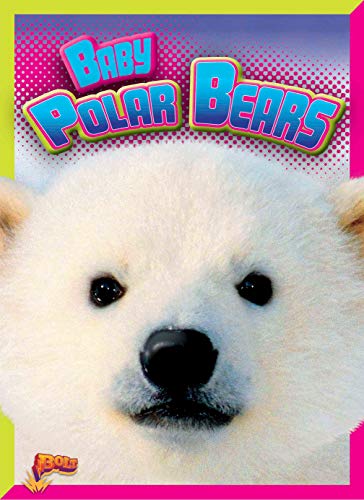 9781644660041: Baby Polar Bears (Adorable Animals)