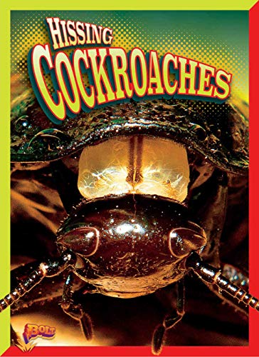 Imagen de archivo de Hissing Cockroaches (Crawly Creatures) a la venta por Half Price Books Inc.