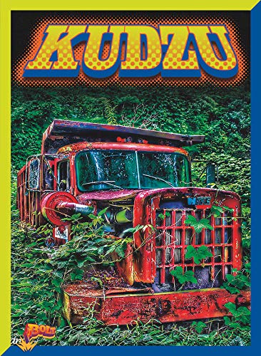 Immagine dell'editore per Kudzu venduto da ThriftBooks-Dallas