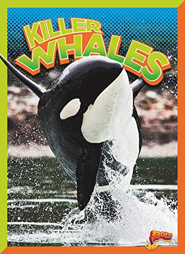 9781644661703: Killer Whales (Wild Animal Kingdom)