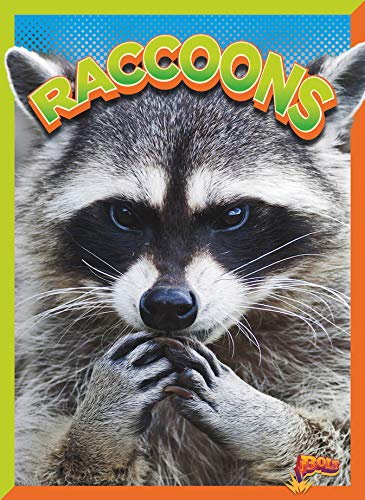 Stock image for Raccoons for sale by ThriftBooks-Dallas