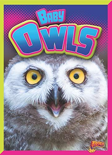 9781644662458: Baby Owls