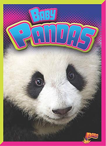 Stock image for Baby Pandas for sale by ThriftBooks-Atlanta