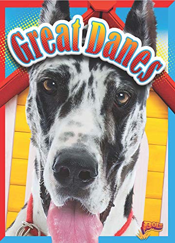 Imagen de archivo de Great Danes (Doggie Data) a la venta por Your Online Bookstore