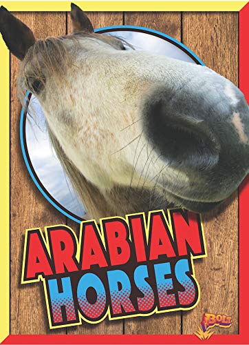 Stock image for Arabian Horses (Horse Crazy) for sale by Bookmonger.Ltd