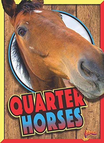 Stock image for Quarter Horses (Horse Crazy) for sale by Bookmonger.Ltd