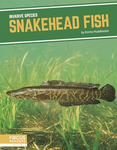 Stock image for Snakehead Fish (Invasive Species) for sale by Chiron Media