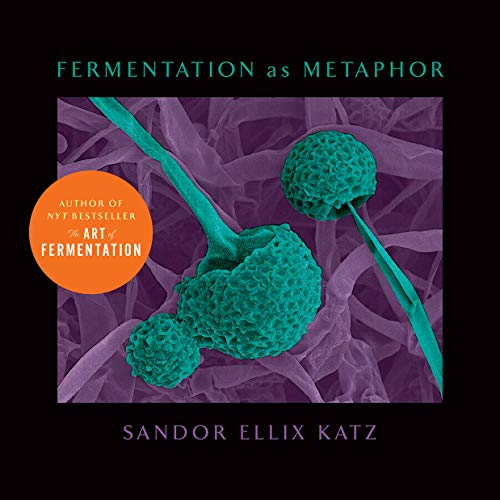 Stock image for Fermentation as Metaphor: From the Author of the Bestselling "The Art of Fermentation" for sale by PlumCircle
