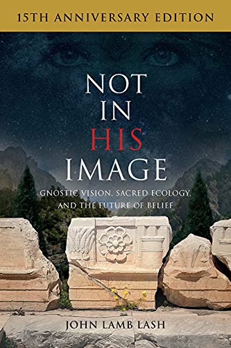 Stock image for Not in His Image (15th Anniversary Edition): Gnostic Vision, Sacred Ecology, and the Future of Belief for sale by Books From California