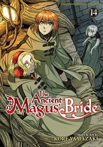 9781645058052: The ancient magus bride: 14